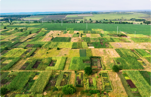 Rural Infra Pioneer Award